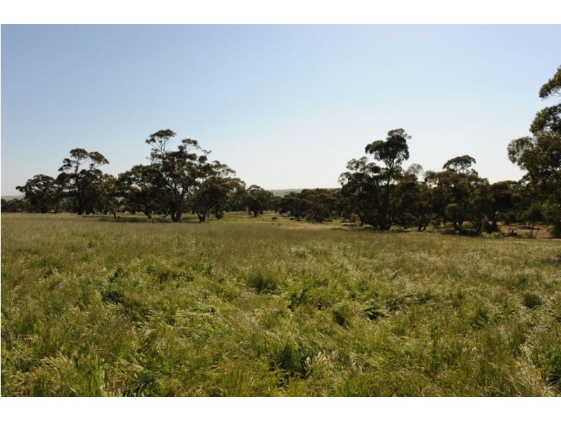 534 KIDMAN STOCK ROUTE ( section 534), Jamestown SA 5491