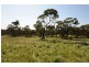 534 KIDMAN STOCK ROUTE ( section 534), Jamestown SA 5491