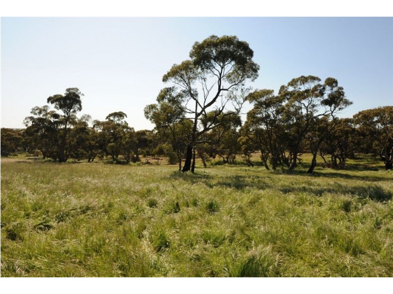 534 KIDMAN STOCK ROUTE ( section 534), Jamestown SA 5491