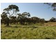 534 KIDMAN STOCK ROUTE ( section 534), Jamestown SA 5491