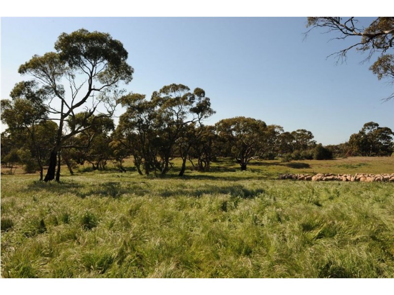 534 KIDMAN STOCK ROUTE ( section 534), Jamestown SA 5491