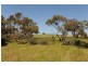 534 KIDMAN STOCK ROUTE ( section 534), Jamestown SA 5491