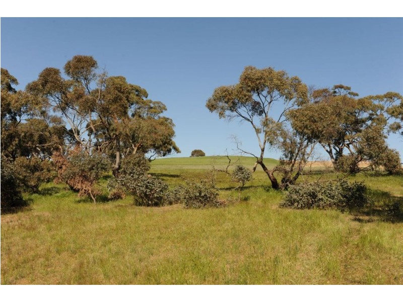534 KIDMAN STOCK ROUTE ( section 534), Jamestown SA 5491