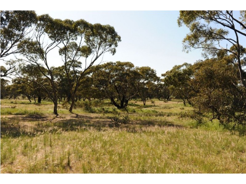 534 KIDMAN STOCK ROUTE ( section 534), Jamestown SA 5491