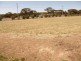 Lot 3 Eyre Highway, Kimba SA 5641
