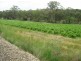 lot 1 Main North Road, Penwortham SA 5453