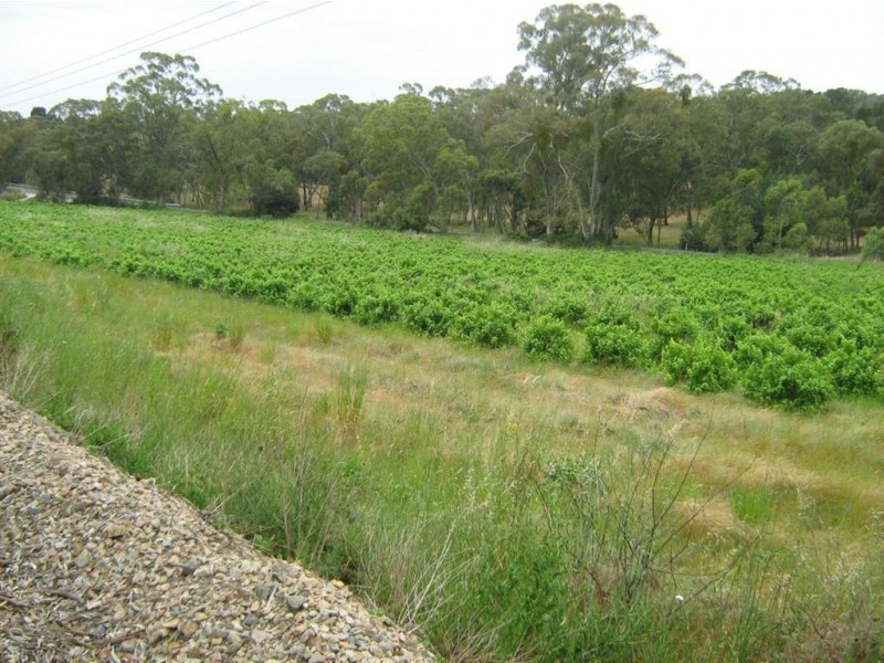 lot 1 Main North Road, Penwortham SA 5453
