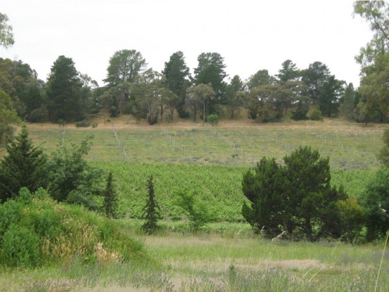 lot 1 Main North Road, Penwortham SA 5453