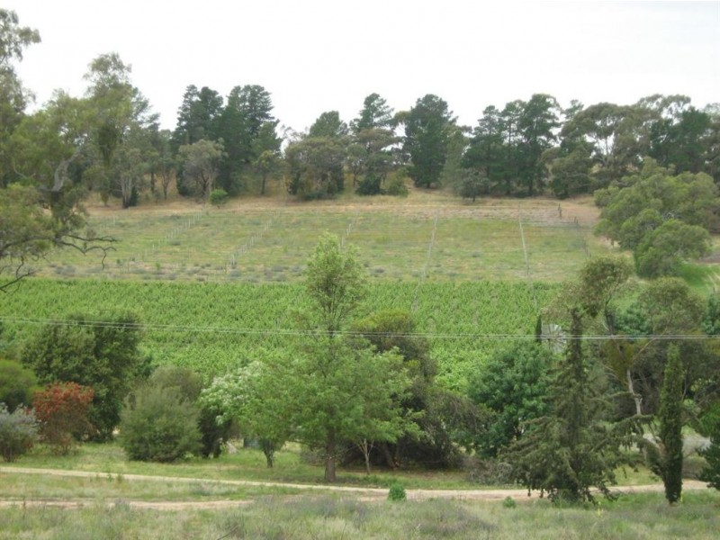 lot 1 Main North Road, Penwortham SA 5453