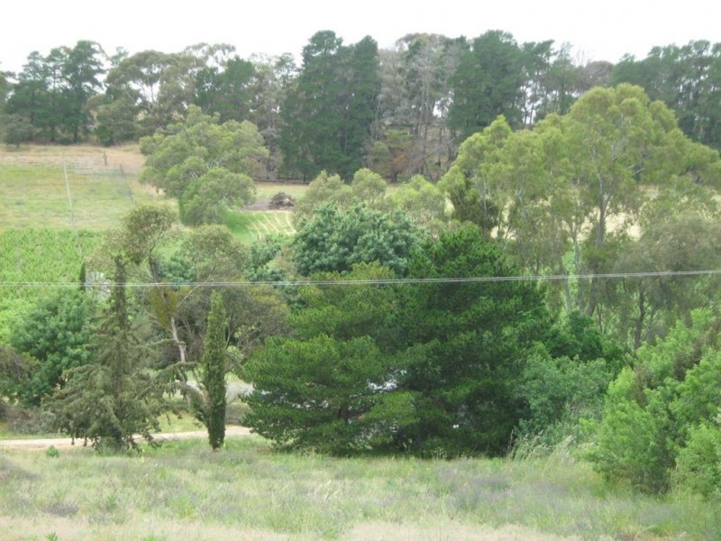 lot 1 Main North Road, Penwortham SA 5453