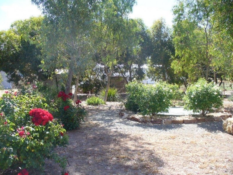 23 Moores Rd, Auburn SA 5451