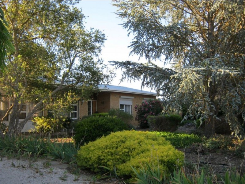 37 Swinden St, Riverton SA 5412