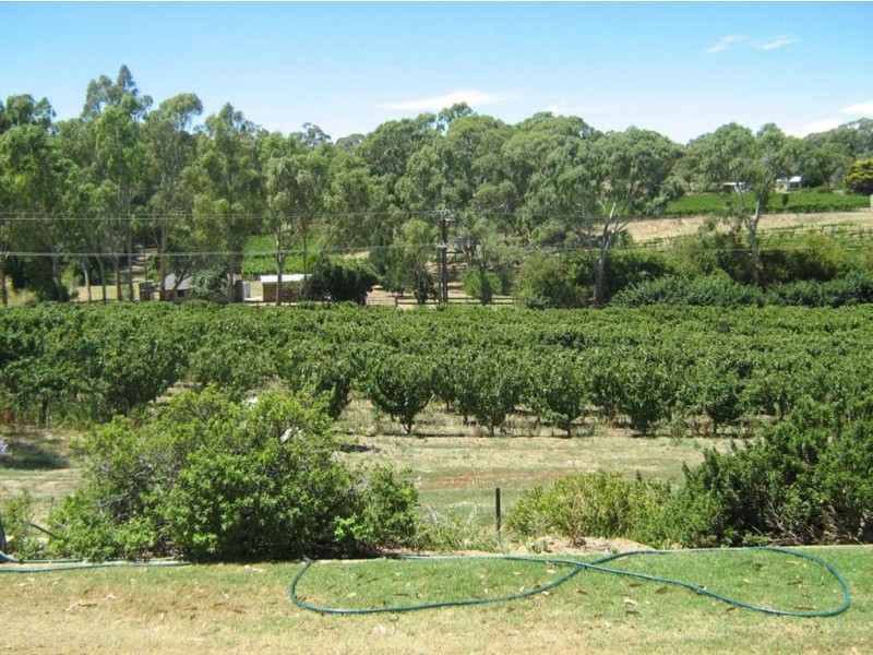 Lot 1 Government Road, Penwortham SA 5453