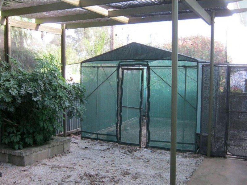 12 Paul Street, Riverton SA 5412