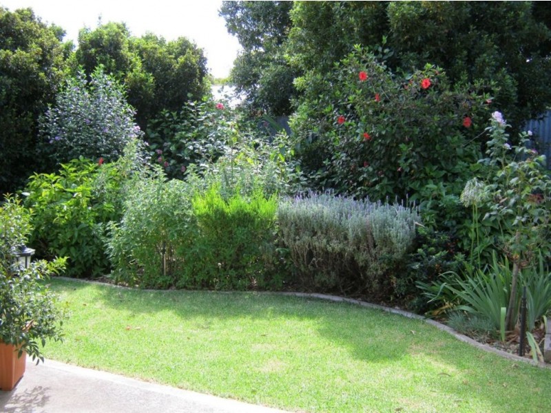 16 Vitana Avenue, Ingle Farm SA 5098