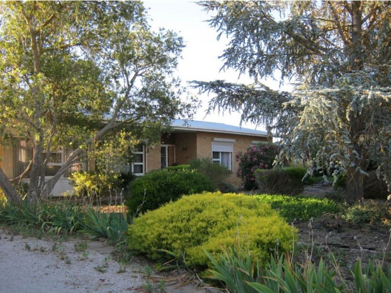 37 Swinden Street, Riverton SA 5412