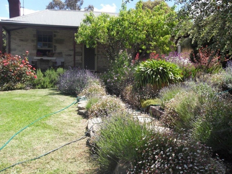 16 Albert St, Clare SA 5453