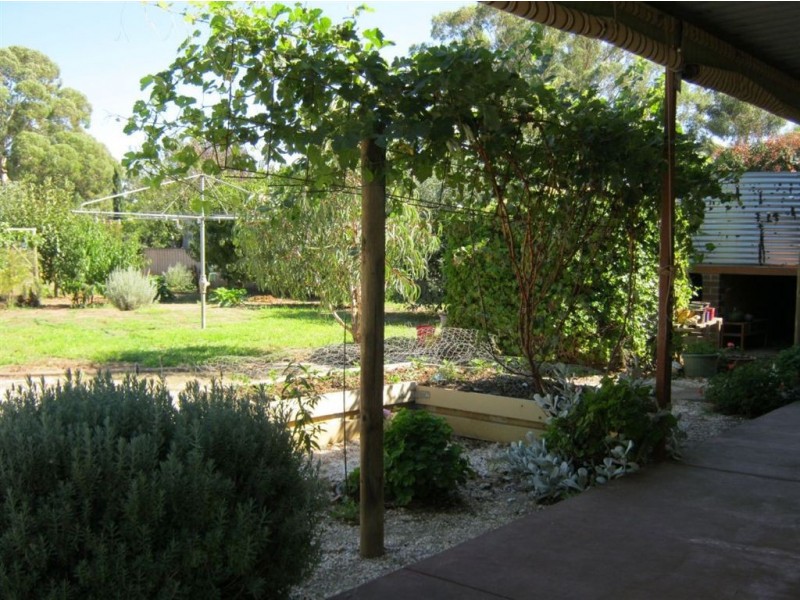 7 Cooper Street, Riverton SA 5412