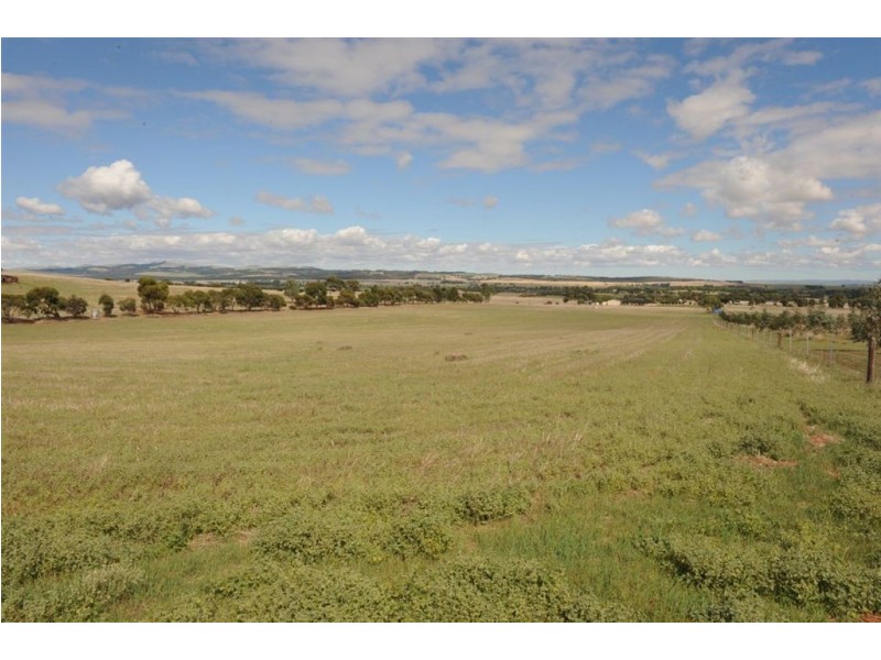 651 DEPOT HILL ROAD, Jamestown SA 5491