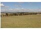651 DEPOT HILL ROAD, Jamestown SA 5491