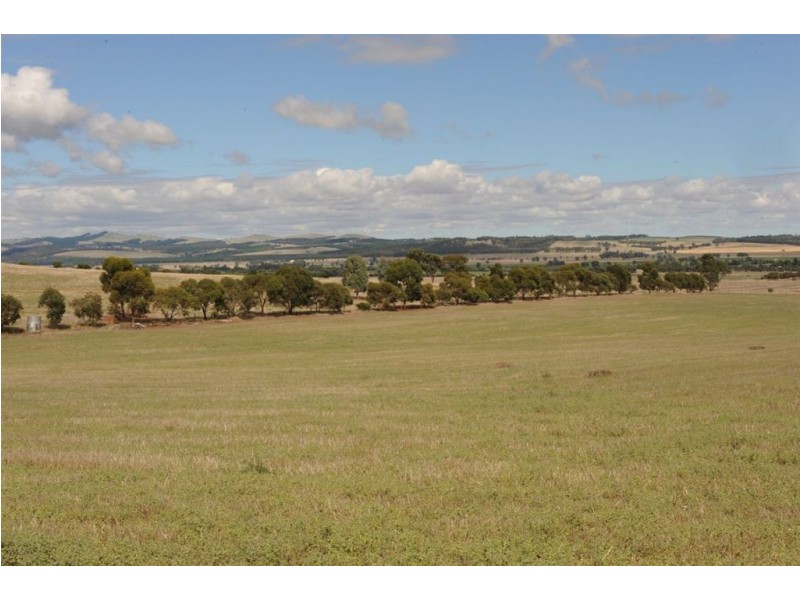 651 DEPOT HILL ROAD, Jamestown SA 5491