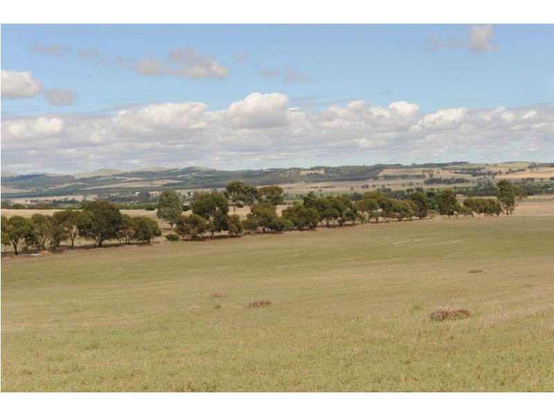651 DEPOT HILL ROAD, Jamestown SA 5491