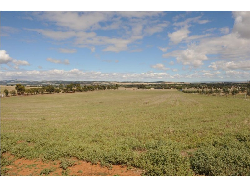 651 DEPOT HILL ROAD, Jamestown SA 5491