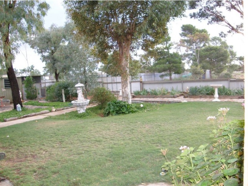 1 Cleve-Mangalo Road, Cleve SA 5640