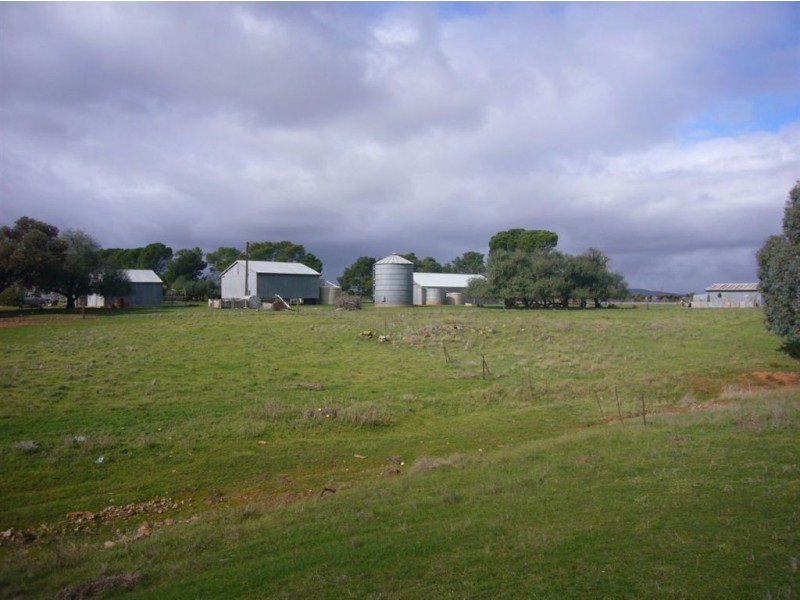 Sec 222 Tarcowie Rd, Appila SA 5480