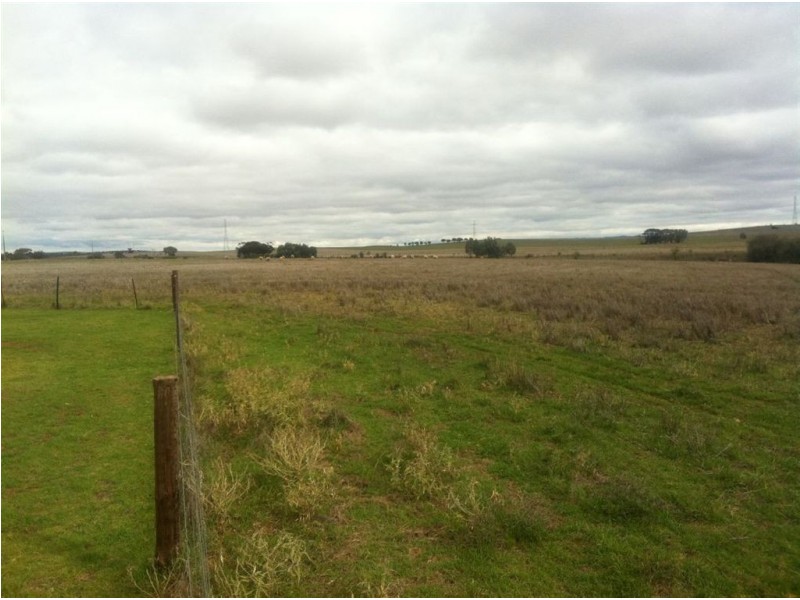 Sec 222 Tarcowie Rd, Appila SA 5480