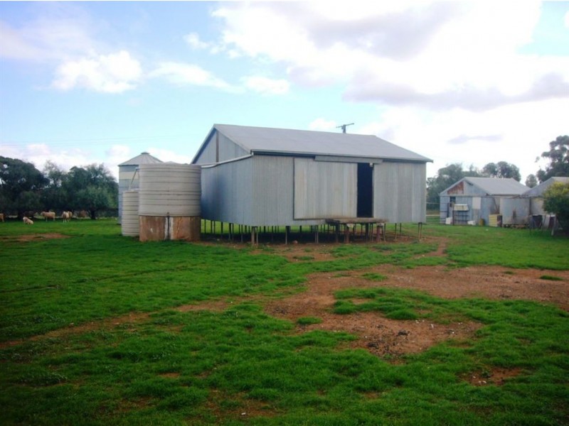 Sec 222 Tarcowie Rd, Appila SA 5480