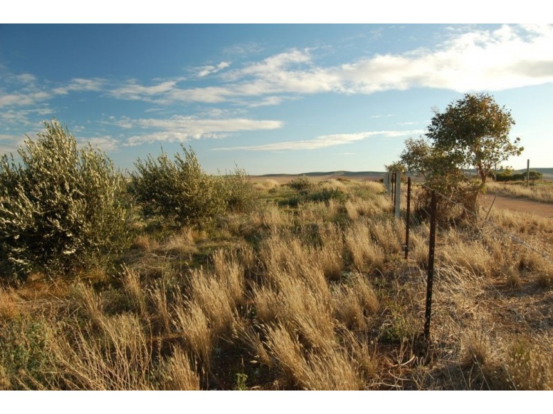 Lots 15, 18-23 & 74-86 West Tce, Burra SA 5417