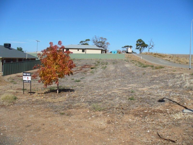 Lot 1 Henry Street, Auburn SA 5451