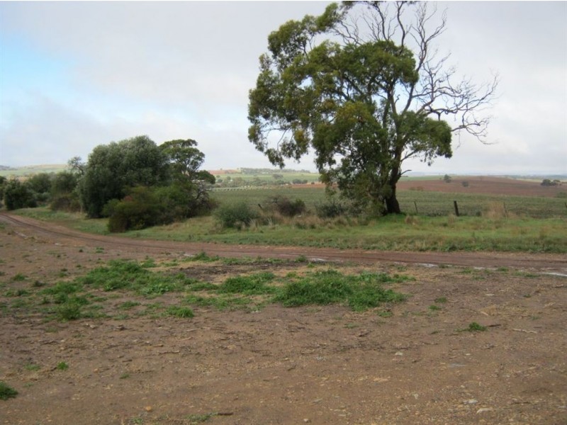 Lot 10 King William Street, Auburn SA 5451
