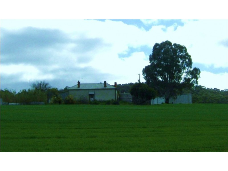 Auburn – Manoora Road, Manoora SA 5414