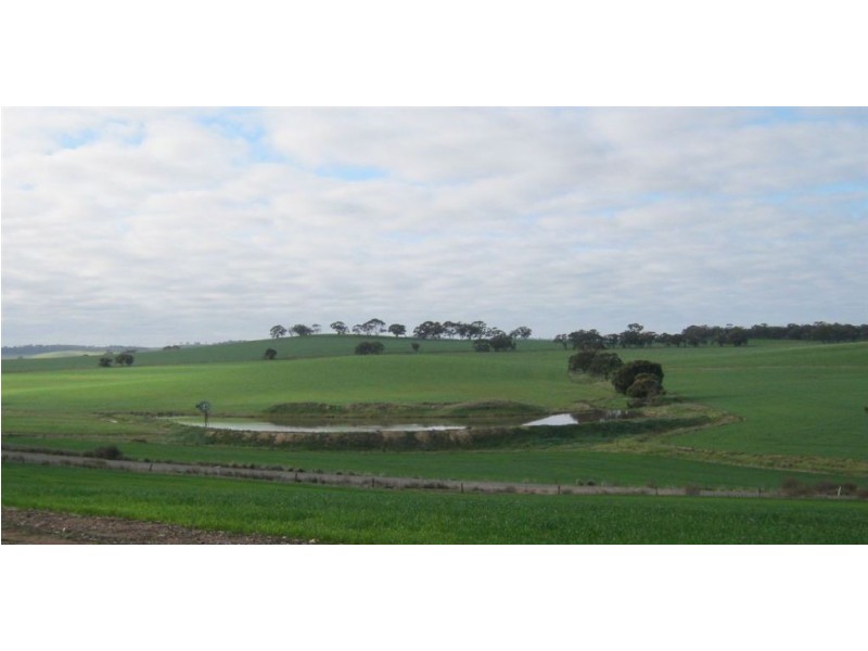 Auburn – Manoora Road, Manoora SA 5414