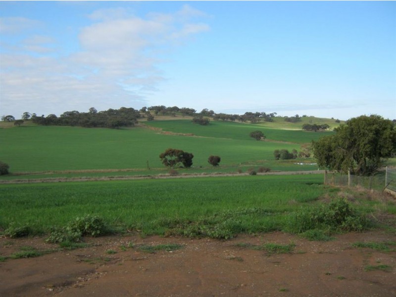 Auburn – Manoora Road, Manoora SA 5414