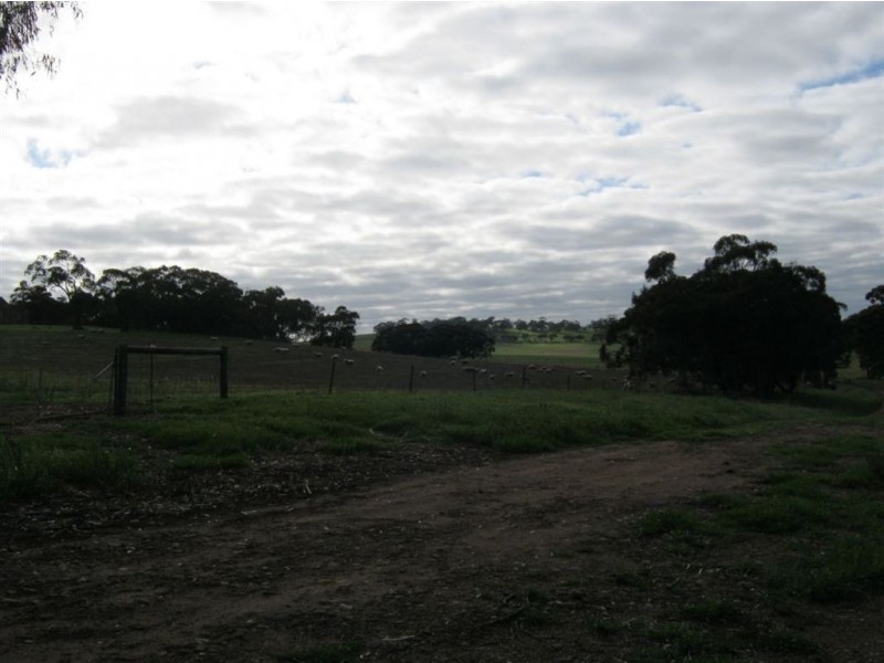 Auburn – Manoora Road, Manoora SA 5414