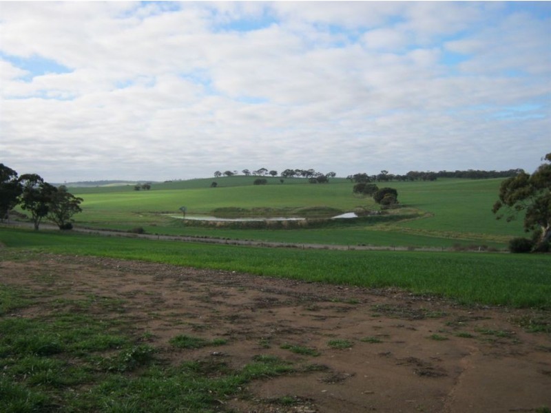 Auburn – Manoora Road, Manoora SA 5414