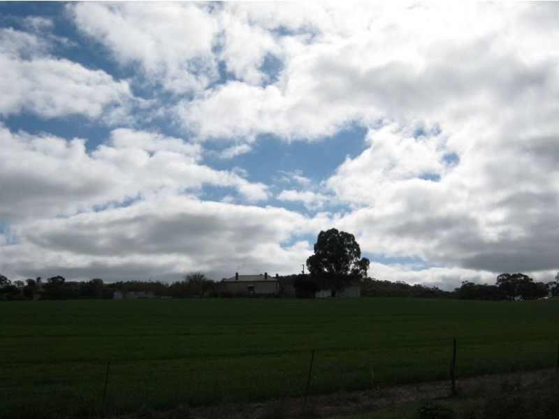 Auburn – Manoora Road, Manoora SA 5414