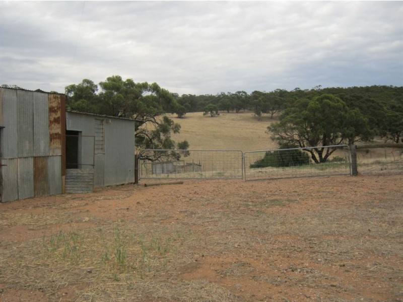 Auburn – Manoora Road, Manoora SA 5414