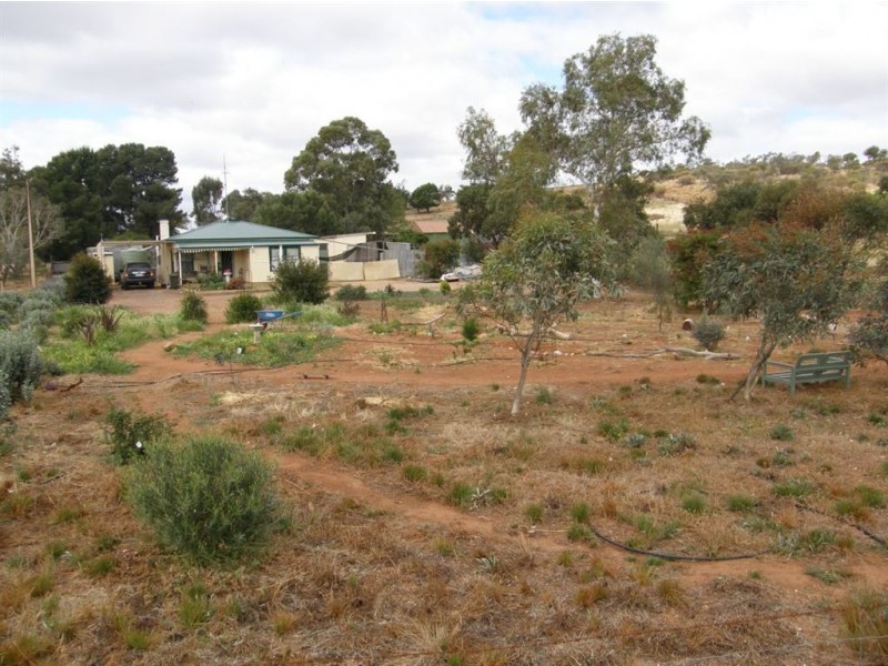 1 Cowley-Kimba Rd, Cleve SA 5640