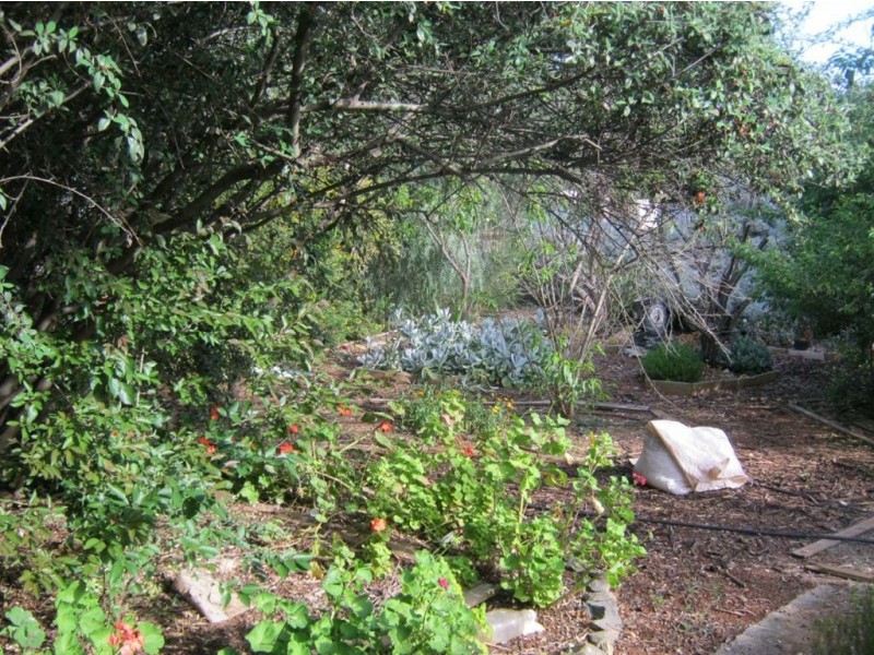 Lot 56 Craig Street, Tarlee SA 5411