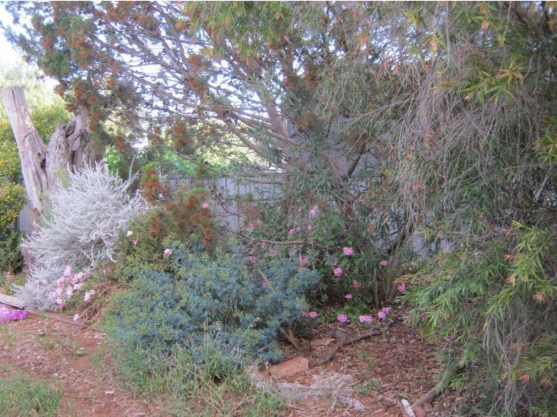 Lot 56 Craig Street, Tarlee SA 5411