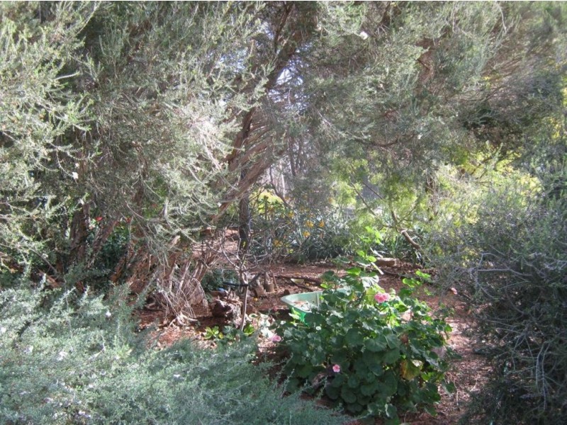 Lot 56 Craig Street, Tarlee SA 5411