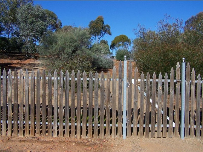 Lot 195 Bowman Street, Crystal Brook SA 5523