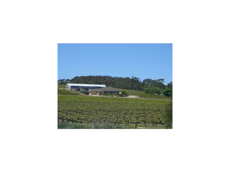 x Roach Rd, Clare SA 5453