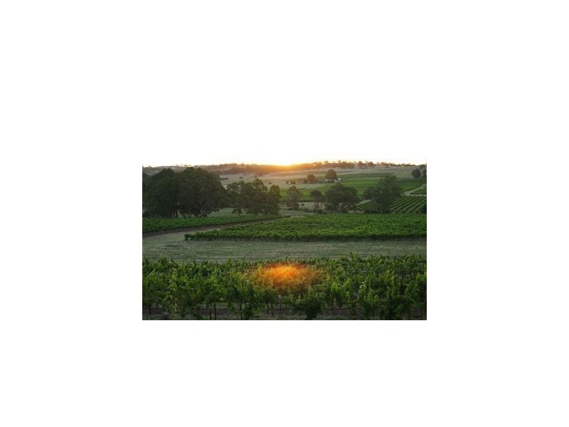 x Roach Rd, Clare SA 5453