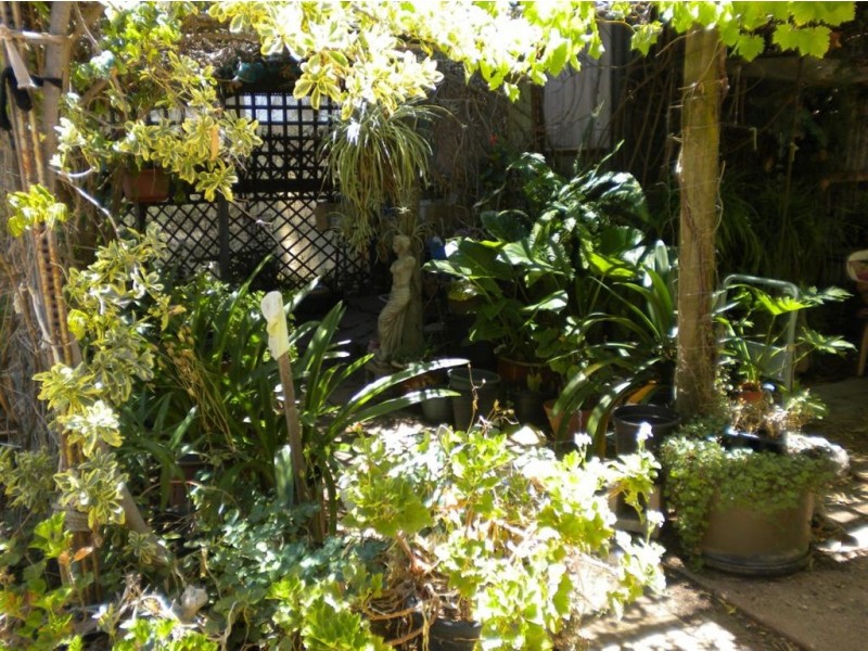 Lot 13 D Eudunda – Morgan Rd, Bower SA 5374