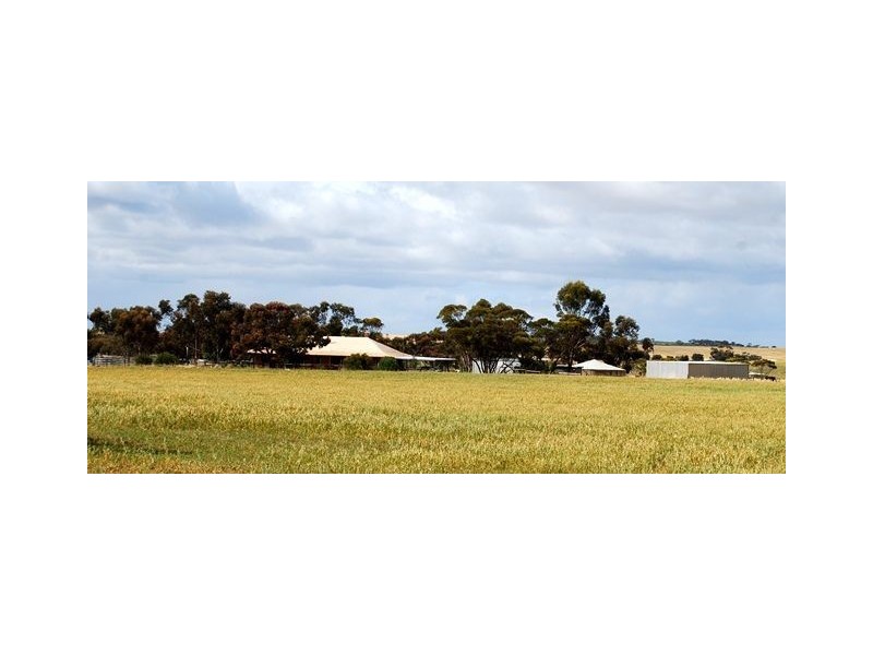 Sec 52 Yaninee, Yaninee SA 5653